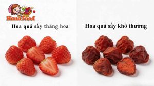 Hana Food Hoa quả săy thăng hoa và sấy khô